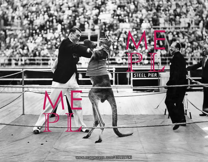 : Heavyweight champion Primo Carnera with ? : Heavyweight champion Primo Carnera with ?