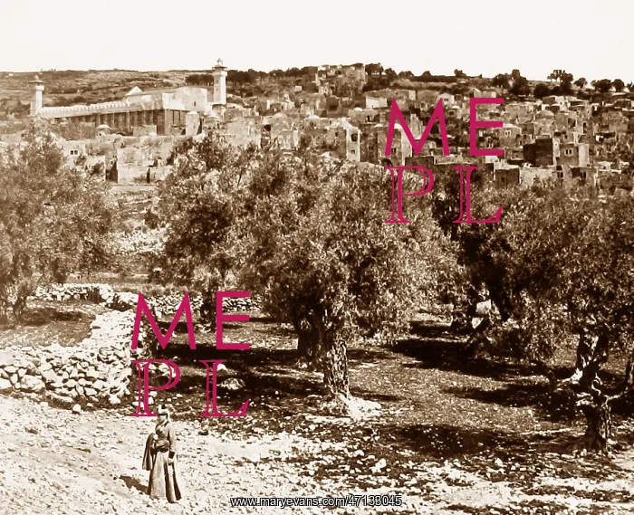  : Hebron, Palestine
