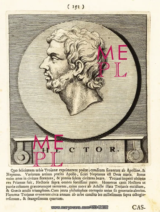 : Hector, Trojan hero in Homer's Iliad : Hector, Trojan hero in Homer's Iliad