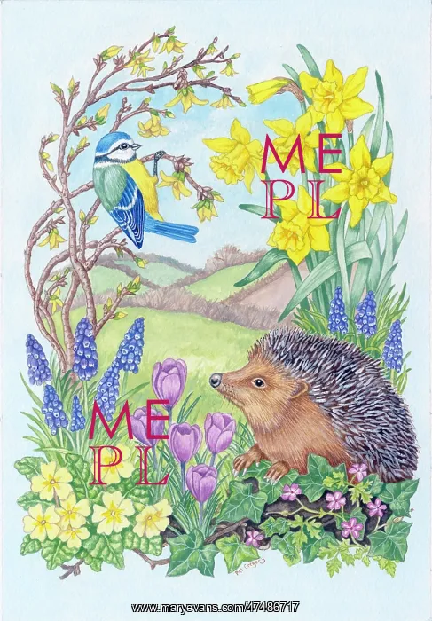 : Hedgehog and Blue Tit with Spring Flowers : Hedgehog and Blue Tit with Spring Flowers