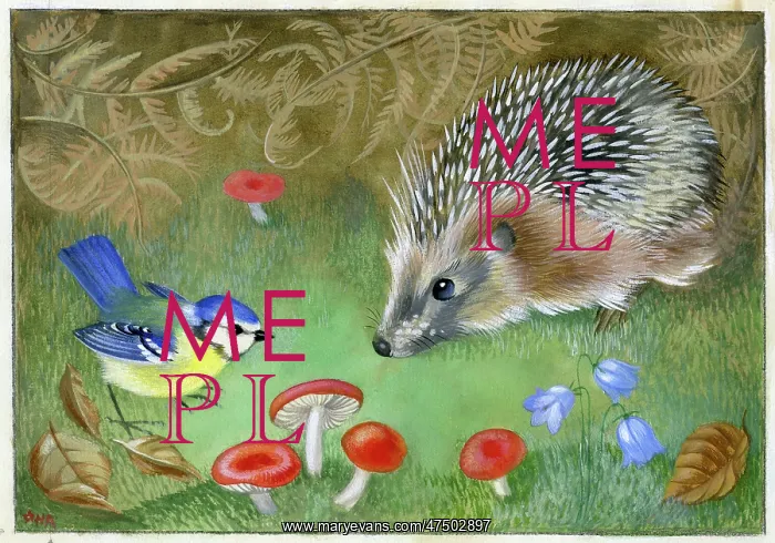 : Hedgehog and blue tit with toadstools : Hedgehog and blue tit with toadstools