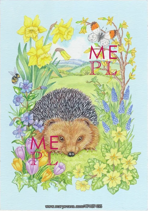 : Hedgehog with Daffodils, Crocuses, etc : Hedgehog with Daffodils, Crocuses, etc