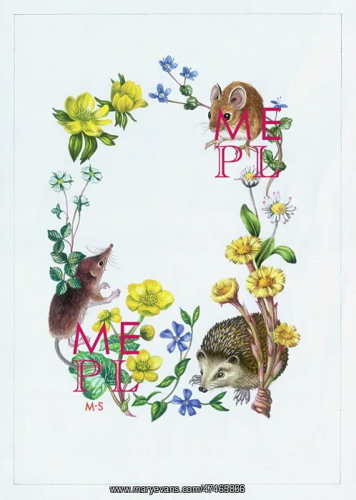 : Hedgehog, shrew, mouse, with aconites, periwinkle : Hedgehog, shrew, mouse, with aconites, periwinkle