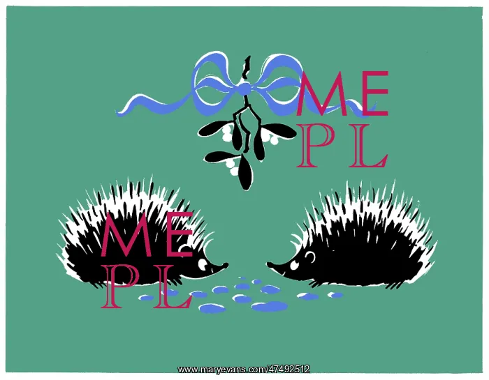 : Two hedgehogs under mistletoe : Two hedgehogs under mistletoe