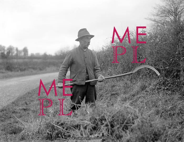 : HEDGER WITH SCYTHE : HEDGER WITH SCYTHE
