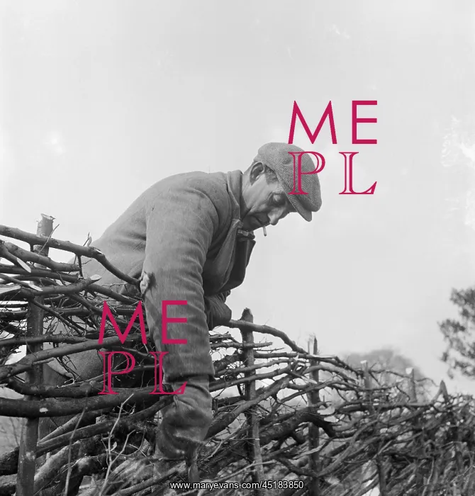 : Hedger At Work : Hedger At Work