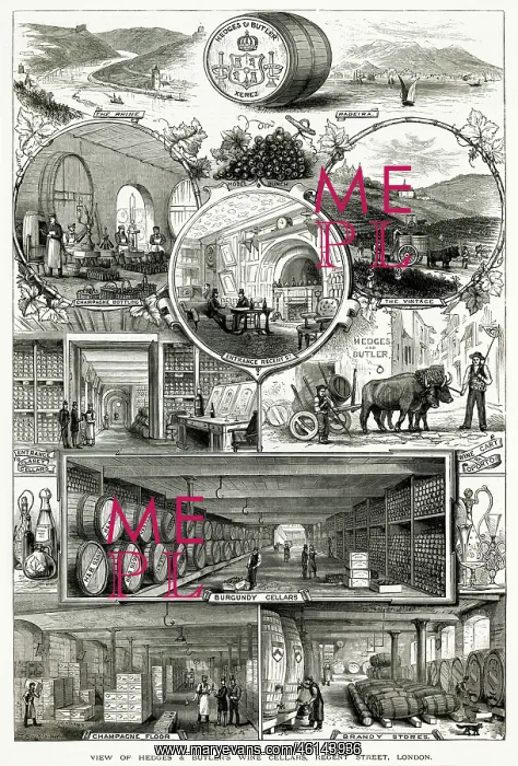 : Hedges & Butler's Wine 1890 : Hedges & Butler's Wine 1890