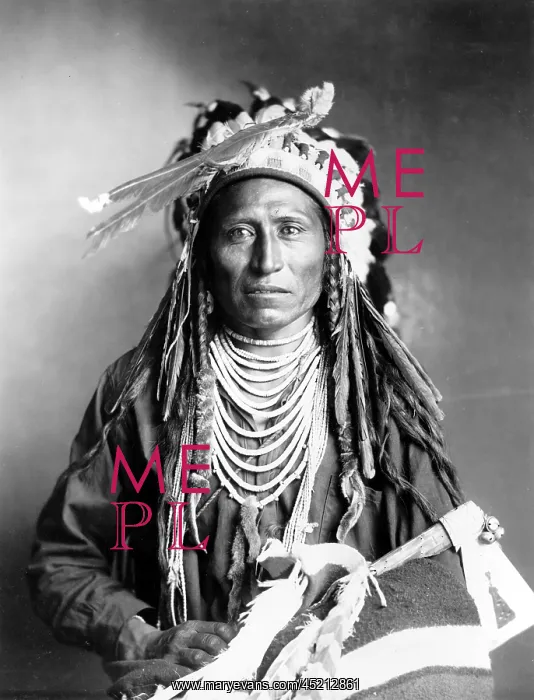 : Heebe-tee-tse of the Shoshone Nation. Ca ? : Heebe-tee-tse of the Shoshone Nation. Ca ?