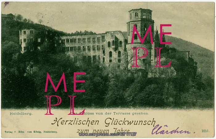 : Heidelberg - The ruins of the Castle viewed from the Terrace : Heidelberg - The ruins of the Castle viewed from the Terrace