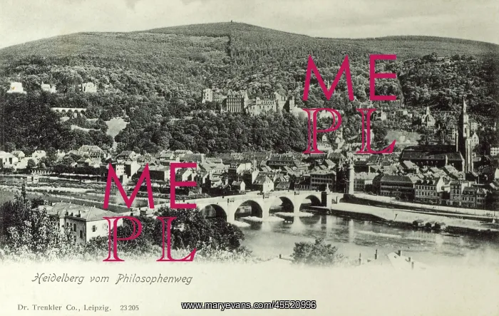 : Heidelberg viewed from Philosophenweg : Heidelberg viewed from Philosophenweg