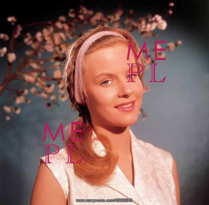  : Heidi Bruhl
