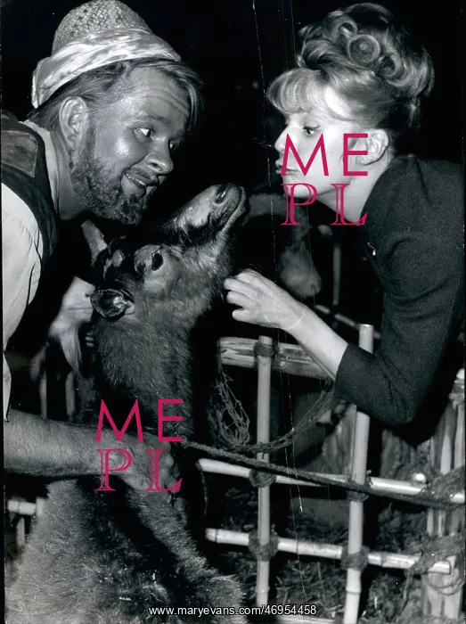 : Heidi Bruhl, James Dobson and a goat : Heidi Bruhl, James Dobson and a goat
