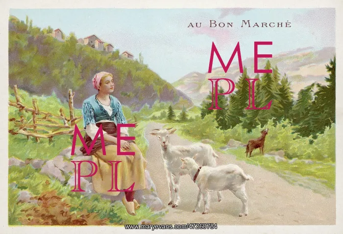 : HEIDI & GOATS / SPYRI : HEIDI & GOATS / SPYRI