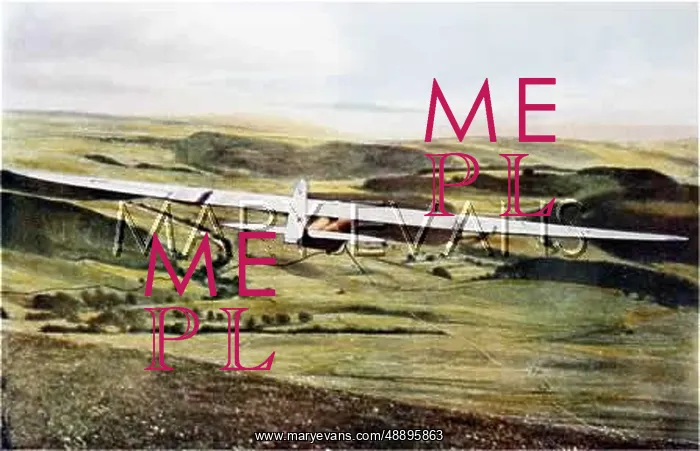 : Heini Dittmar in his Professor sailplane : Heini Dittmar in his Professor sailplane