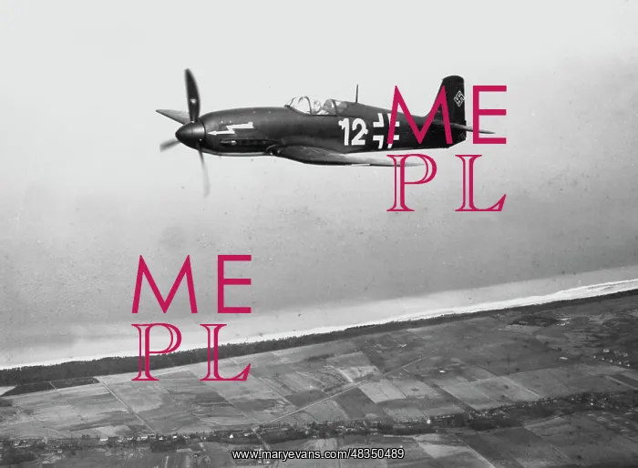 : Heinkel He 100 fighter plane, 1941 : Heinkel He 100 fighter plane, 1941