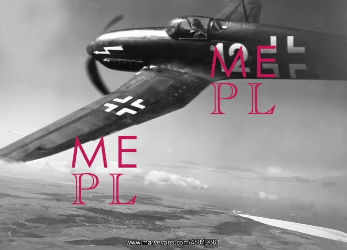 : Heinkel He 100 fighter plane, 1942 : Heinkel He 100 fighter plane, 1942
