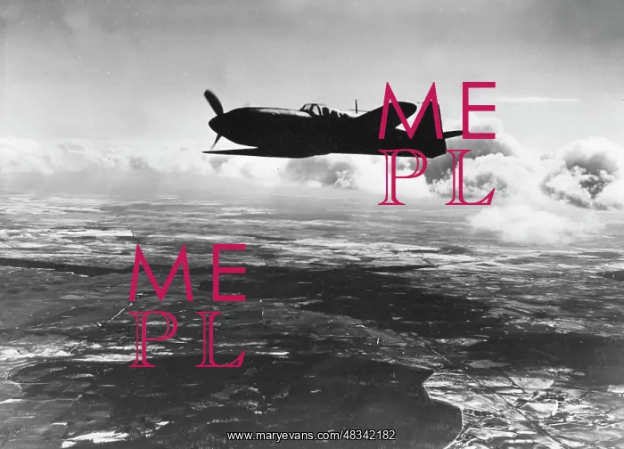 : Heinkel He 100 fighter plane, 1942 : Heinkel He 100 fighter plane, 1942