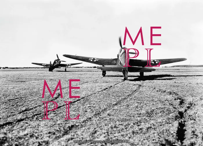 : Heinkel He 100 fighter plane, 1942 : Heinkel He 100 fighter plane, 1942