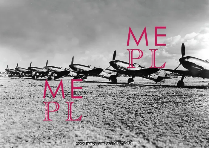 : Heinkel He 100 fighter plane : Heinkel He 100 fighter plane