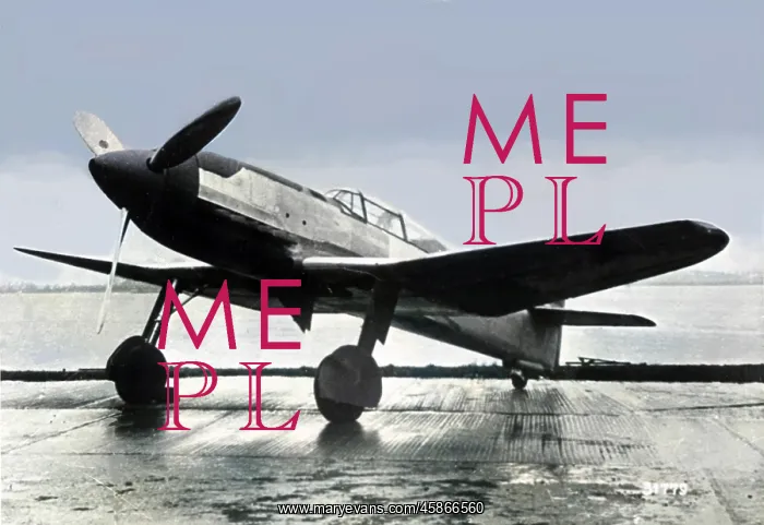: Heinkel He 100D -a handfful of these fighters were buil? : Heinkel He 100D -a handfful of these fighters were buil?