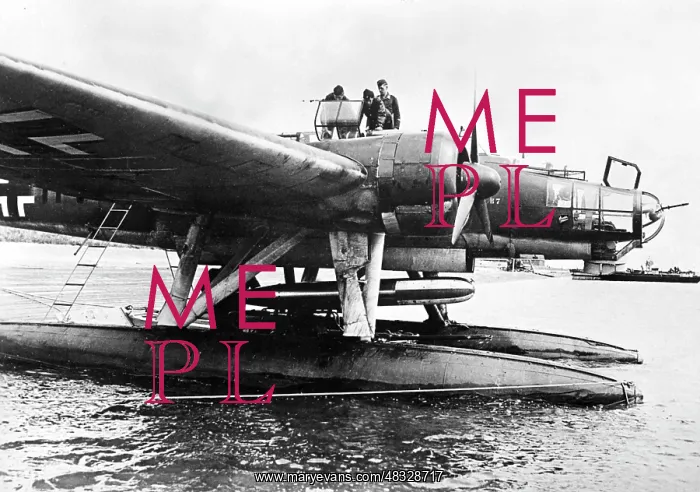 : Heinkel He 115, 1941 : Heinkel He 115, 1941