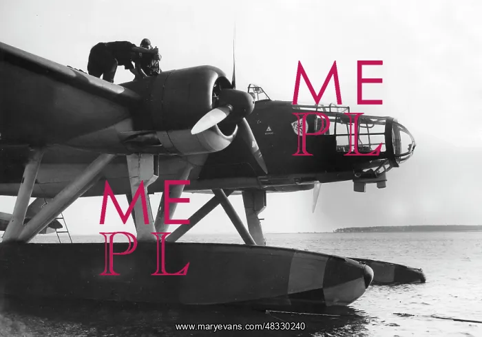 : Heinkel He 115 seaplane, 1930s : Heinkel He 115 seaplane, 1930s