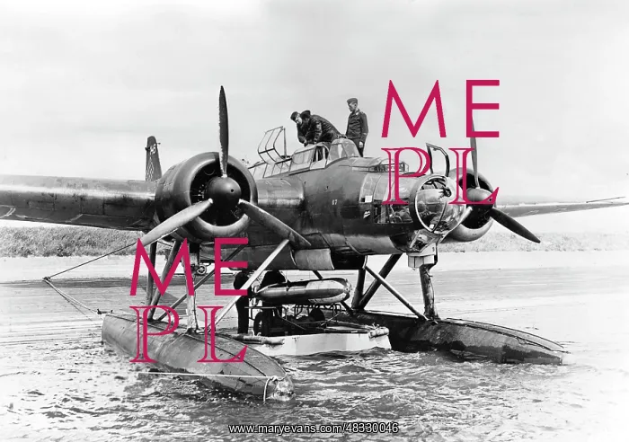 : Heinkel He 115 seaplane, 1941 : Heinkel He 115 seaplane, 1941