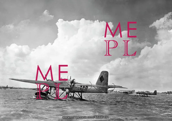 : Heinkel He 115 seaplane, 1941 : Heinkel He 115 seaplane, 1941