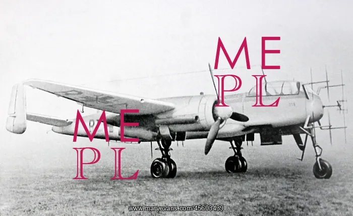 : Heinkel He 219 Uhu -a relative latecomer, the type was : Heinkel He 219 Uhu -a relative latecomer, the type was