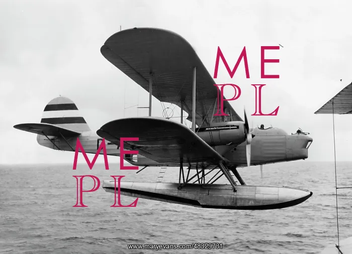 : Heinkel He 59 seaplane, 1936 : Heinkel He 59 seaplane, 1936
