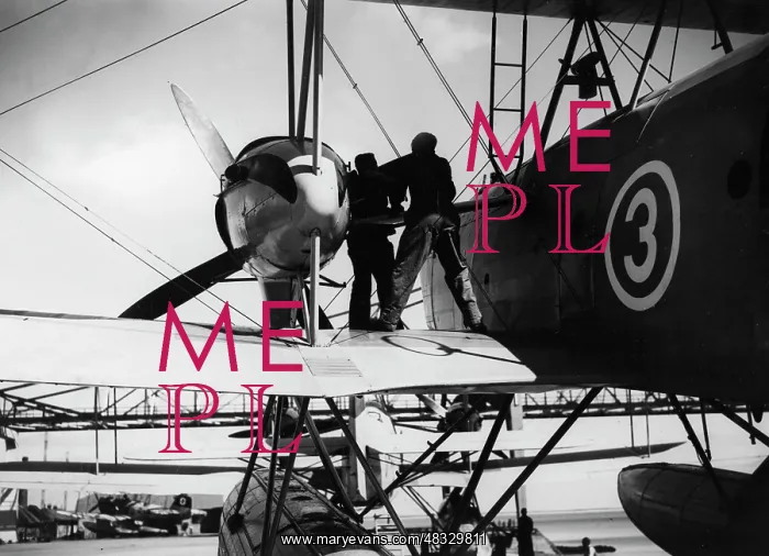 : Heinkel He 59 seaplane, 1936 : Heinkel He 59 seaplane, 1936