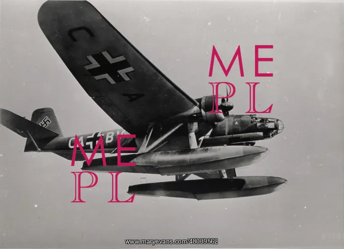 : Heinkel He115 twin-engined floatplane : Heinkel He115 twin-engined floatplane