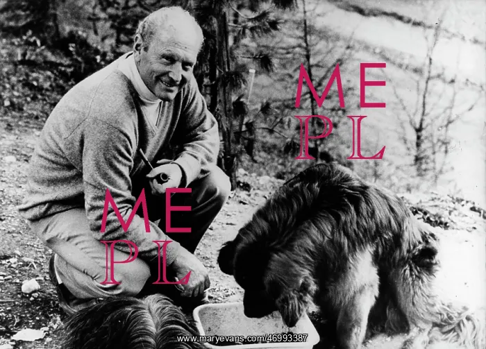 : Heinrich Harrer : Heinrich Harrer
