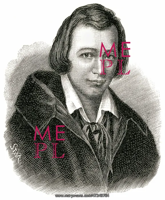  : HEINRICH HEINE