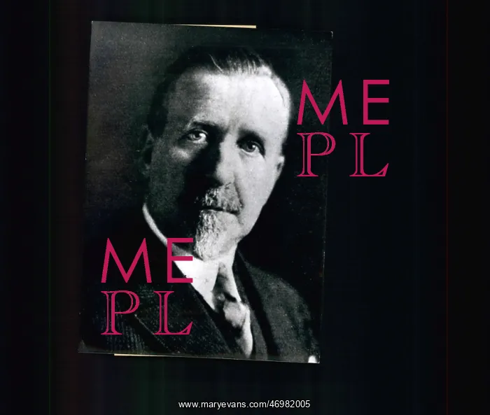 : Heinrich Mann, German novelist : Heinrich Mann, German novelist