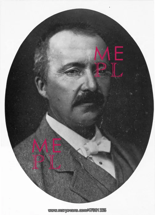: Heinrich Schliemann, German Archeologist : Heinrich Schliemann, German Archeologist