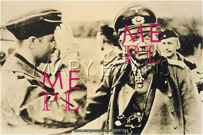 : HEINZ GUDERIAN : HEINZ GUDERIAN