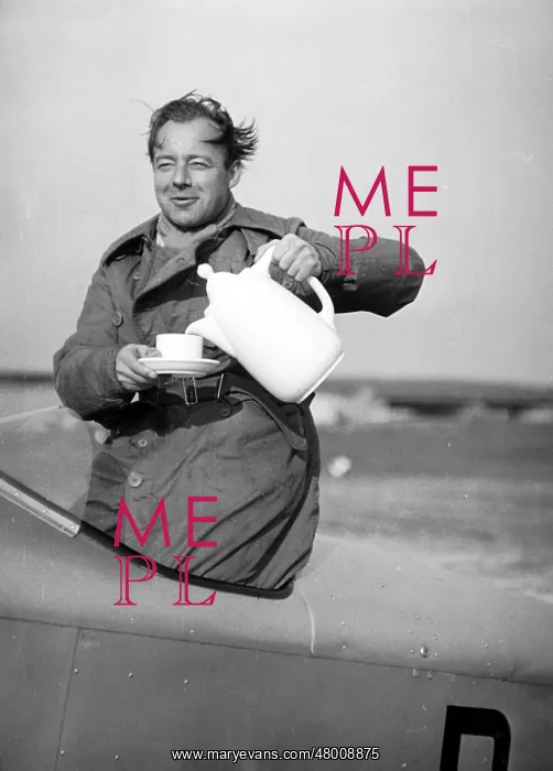 : Heinz Ruehmann in an airplane, 1939 : Heinz Ruehmann in an airplane, 1939