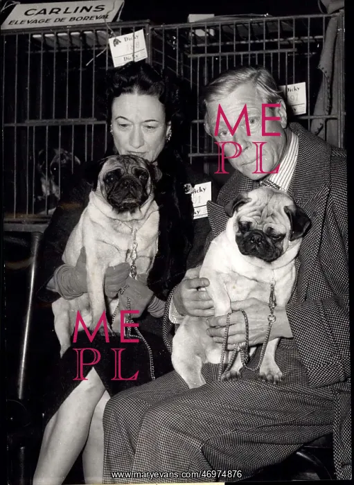 : Heirs - Heiress - Royalty - Socialites : Heirs - Heiress - Royalty - Socialites