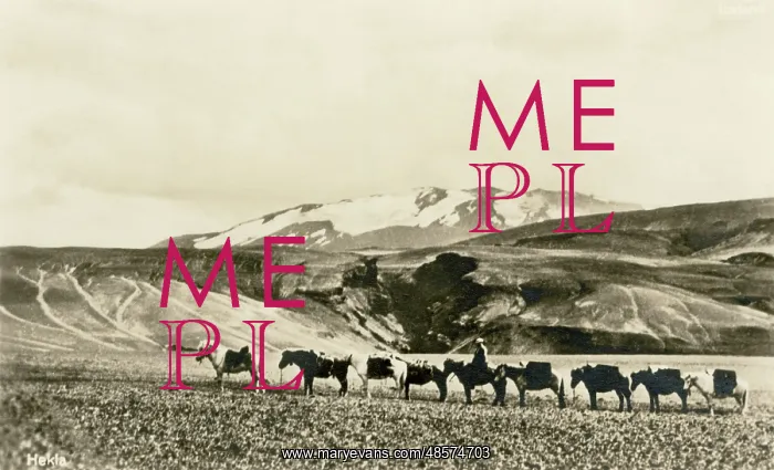 : Hekla (volcano) and a pony train, Iceland : Hekla (volcano) and a pony train, Iceland