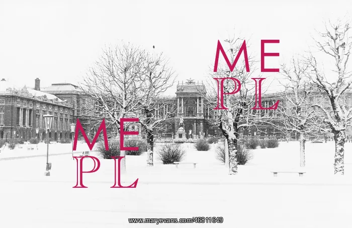 : Heldenplatz in Vienna in snow : Heldenplatz in Vienna in snow