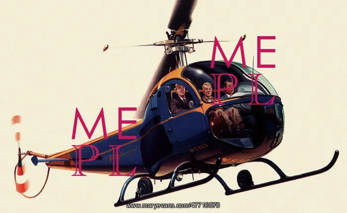 : Heliborne Executives : Heliborne Executives