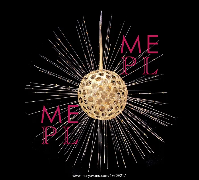 : Heliosphaera actinota, radiolarian : Heliosphaera actinota, radiolarian