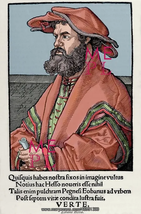 : Helius Eobanus Hessus (1488-1540). Portrait. Colored engravi : Helius Eobanus Hessus (1488-1540). Portrait. Colored engravi