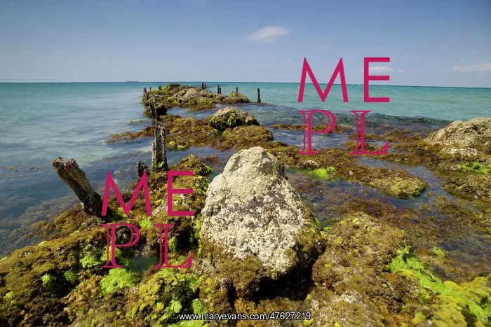 : Helles - W Beach : Helles - W Beach