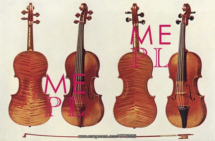  : Hellier Stradivarius