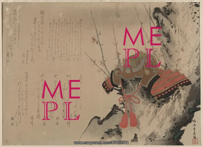 : Helmet on a Plum Tree : Helmet on a Plum Tree