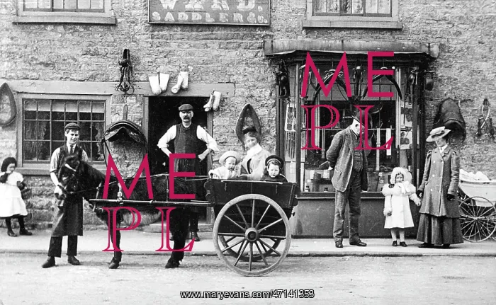  : Helmsley, Saddlery