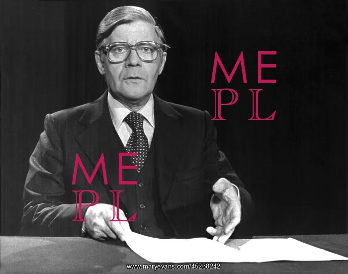 : Helmut Schmidt comments on Schleyer kidnapping : Helmut Schmidt comments on Schleyer kidnapping