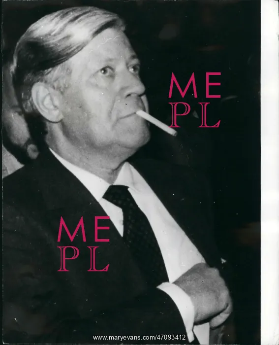 : Helmut Schmidt, German Chancellor, at conference : Helmut Schmidt, German Chancellor, at conference